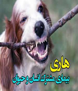 معرفی کلینیک هاری