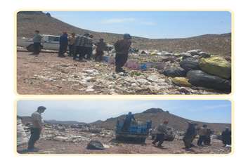 بازرسان بهداشت محیط شبکه بهداشت و درمان شهرستان ملارد بیش ار یک تن پنیر و خیارشور را معدوم کردند.