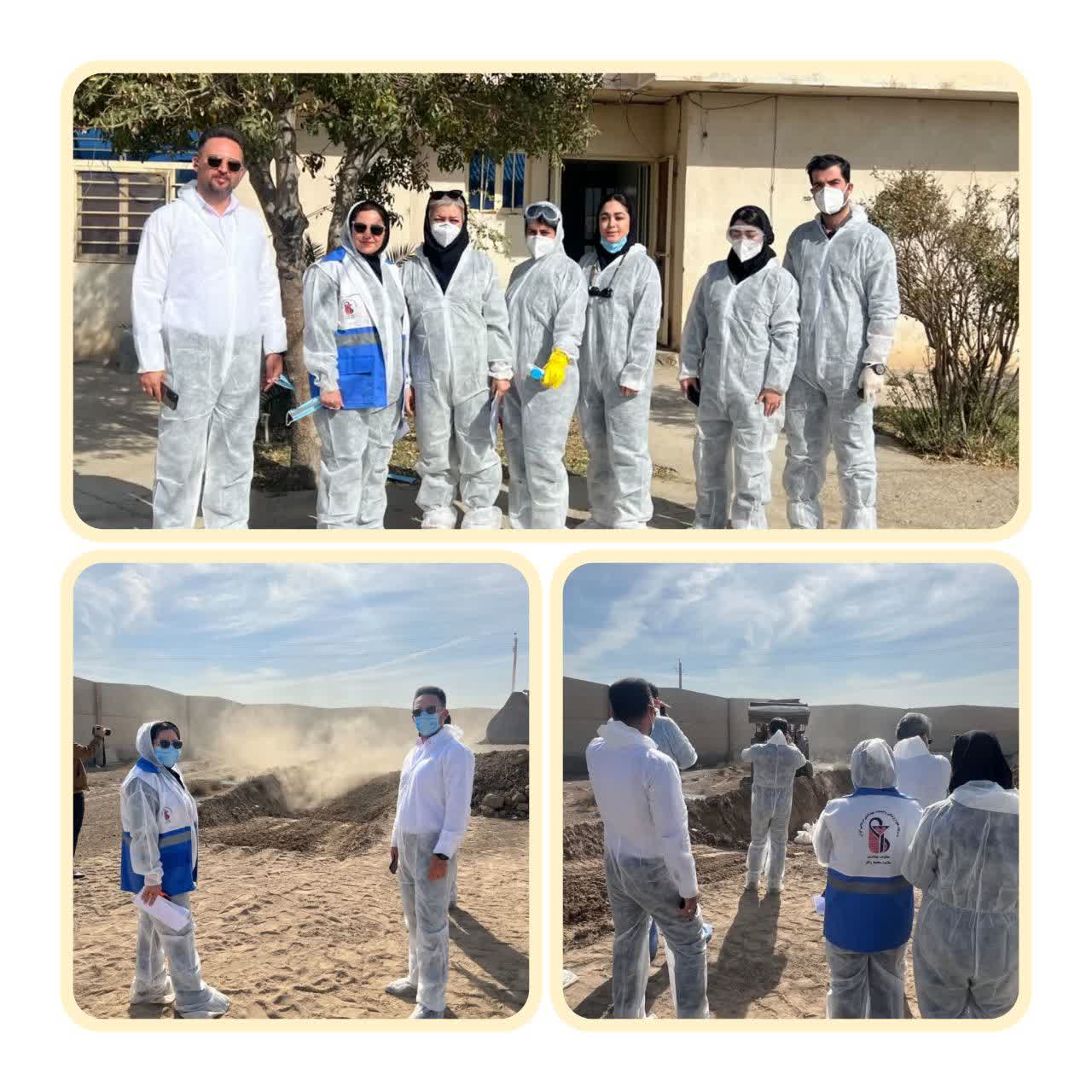 بررسی  ظرفیت هماهنگی بین‌بخشی در سطح شهرستان با اداره جهاد کشاورزی، نیروی انتظامی، دامپزشکی 