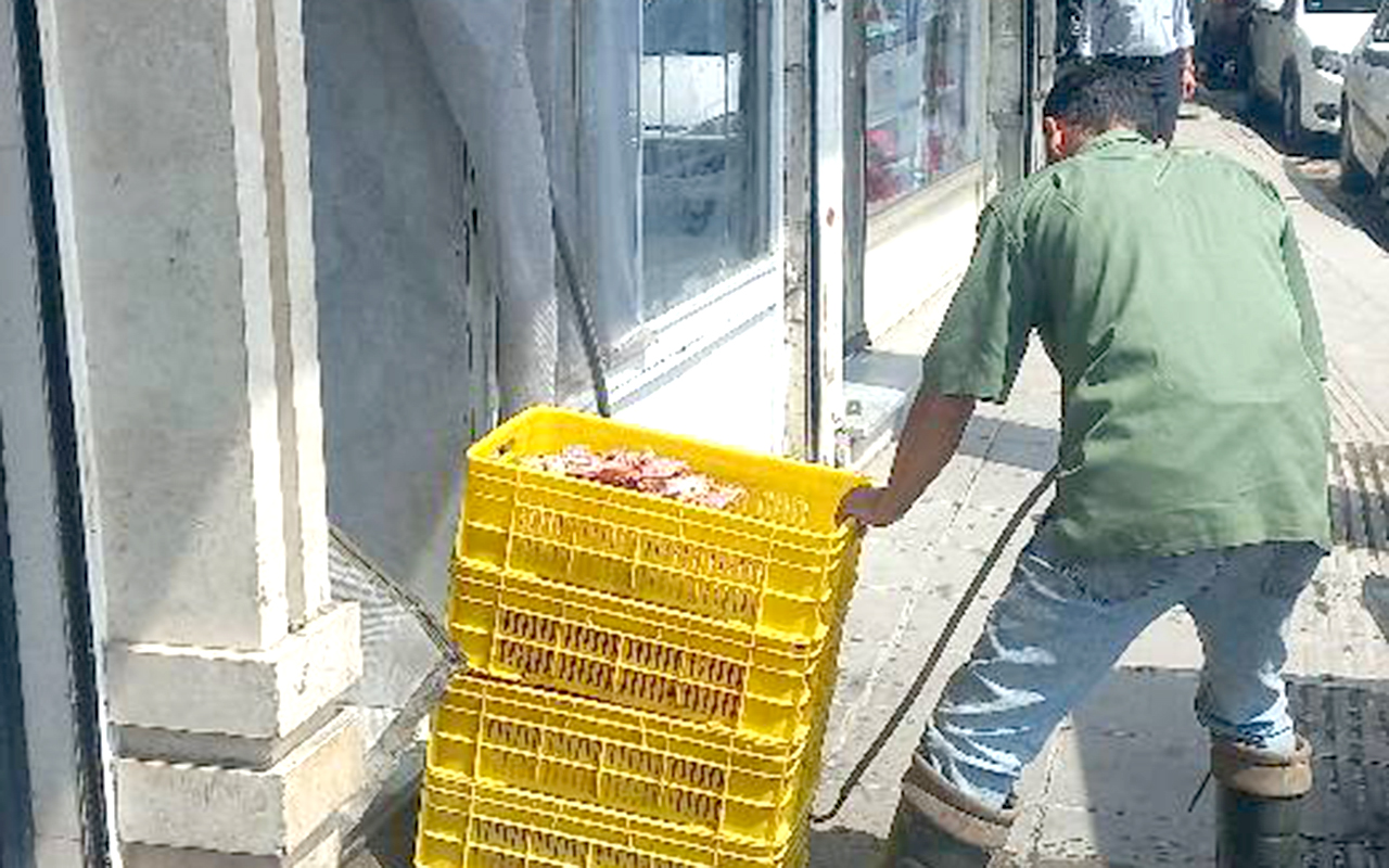 بازرسین بهداشت محیط در ملارد  ۷۰۰ کیلوگرم اسکلت مرغ فاسد را معدوم کردند